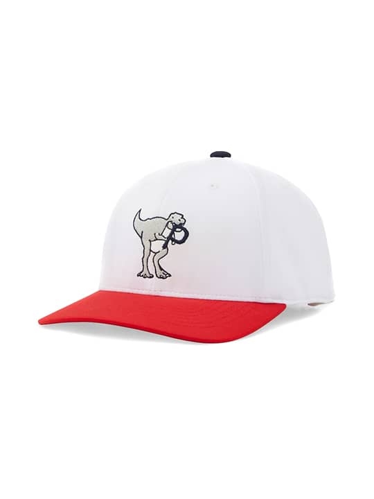 Puma Youth Dino-Mite P Cap - Bright White/Ski Patrol